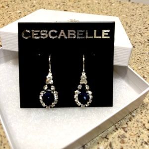 Rhinestone faux Saphire teardrop earrings. Purchased from Von Maur in 2022.